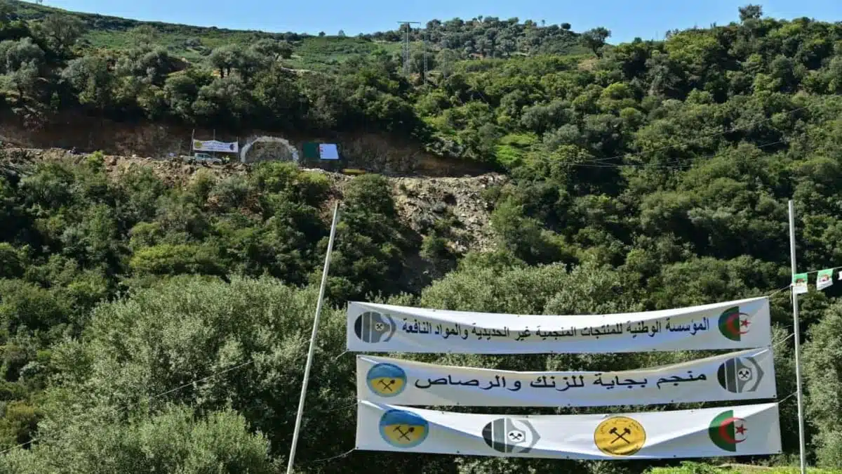 L&rsquo;Algérie s&rsquo;invite sur le marché mondial des minerais stratégiques