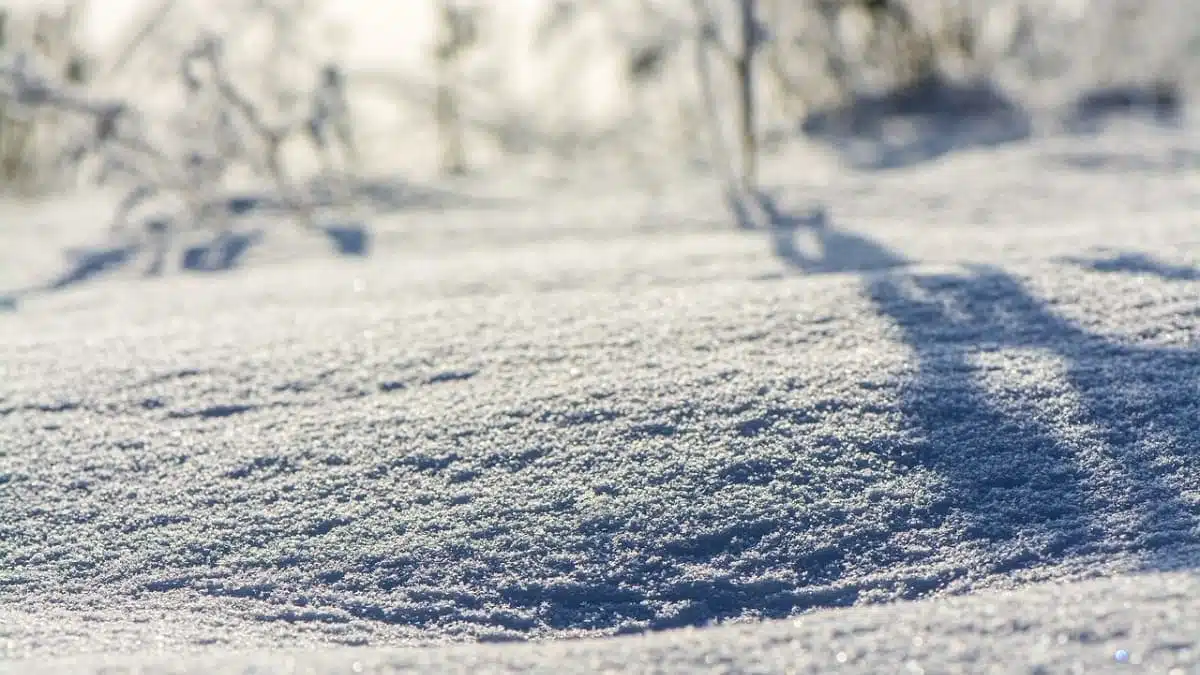 Chutes de neige en Algérie : ces routes sont impraticables