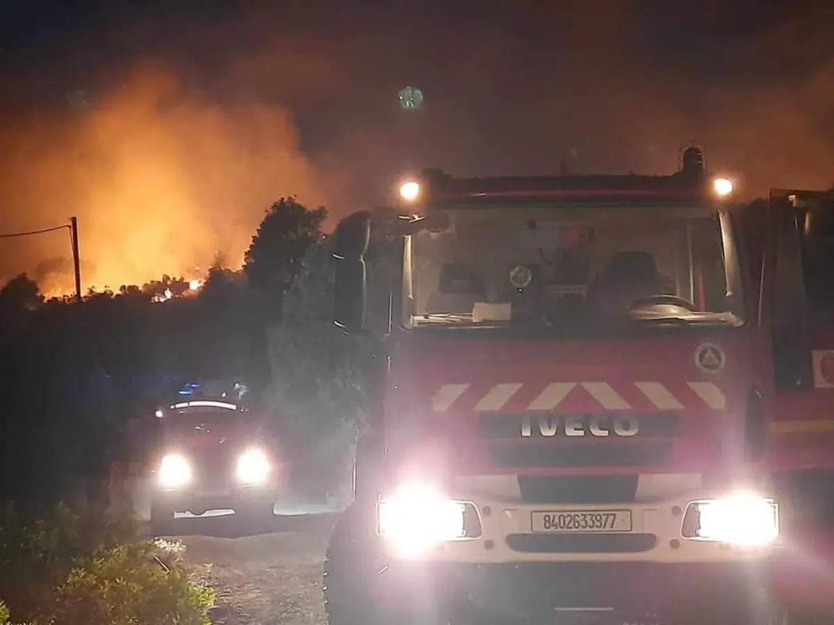 Vidéo. A Blida, les pompiers luttent contre un gigantesque incendie depuis plus de 24h
