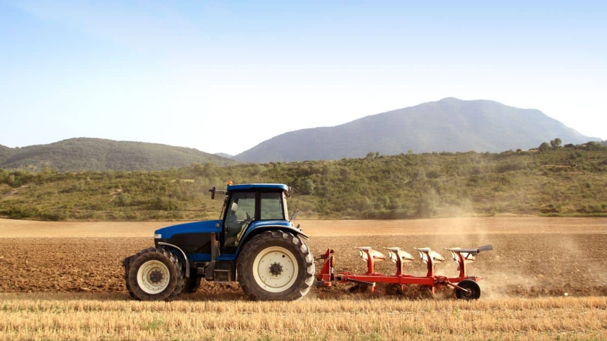 L’Algérie lance la réforme de son agriculture pour assurer sa souveraineté alimentaire