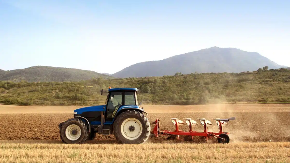 L’Algérie lance la réforme de son agriculture pour assurer sa souveraineté alimentaire