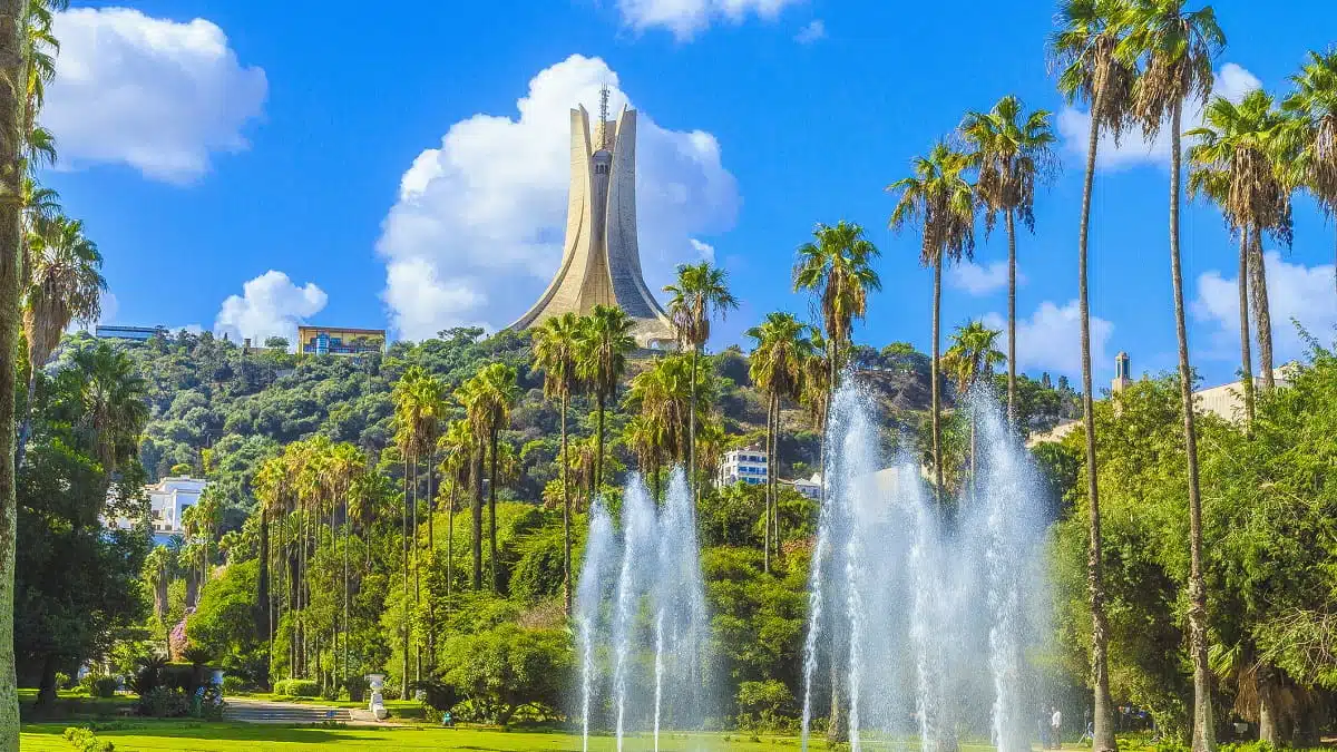 « Je n&rsquo;avais pas vu autant de verdure…» : l&rsquo;Algérie vit un printemps exceptionnel