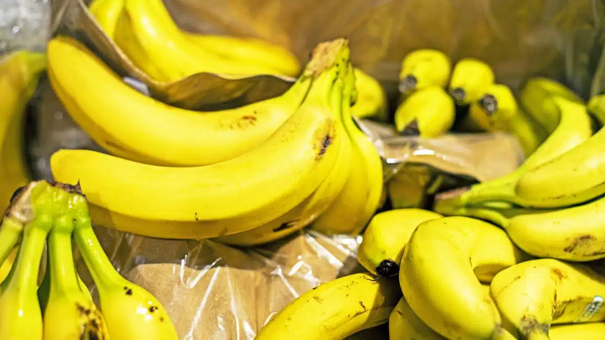 Banane : l&rsquo;Algérie dévoile un plan pour réduire une facture de 300 millions $