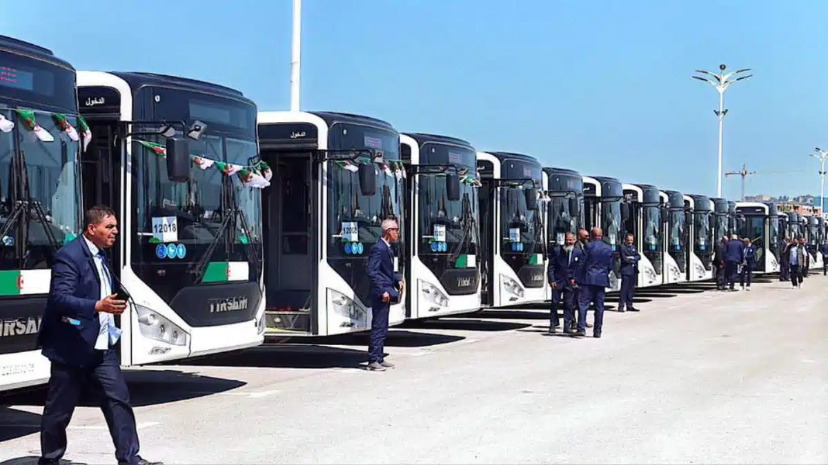 Des bus flambant neufs pour la ville d&rsquo;Annaba