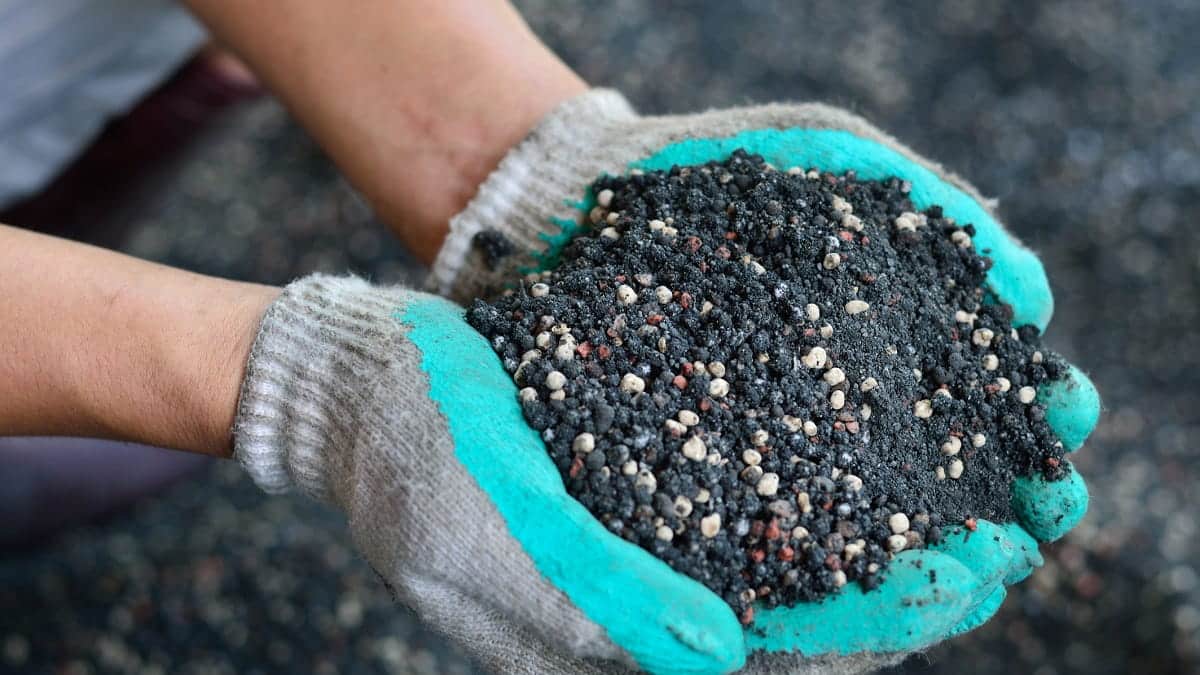 Les prix des engrais flambent : une autre aubaine pour l’Algérie