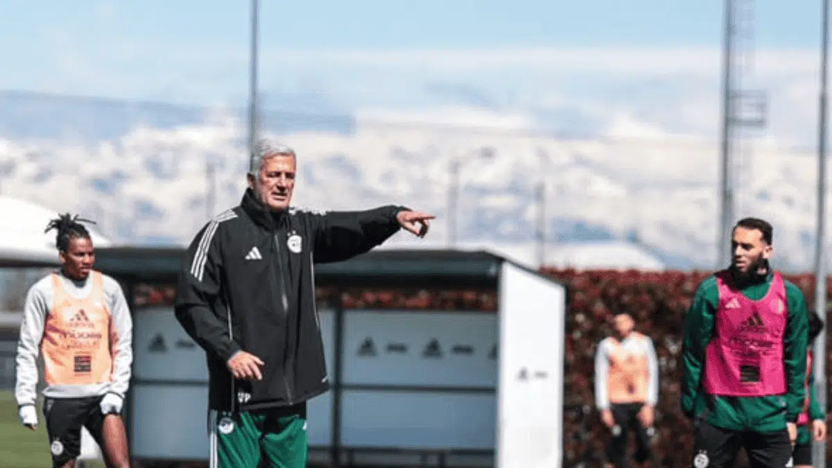 Algérie – Guatemala :  les Verts affutent leurs armes