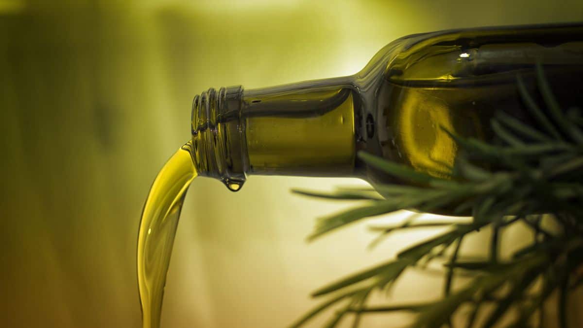 Huile d’olive : pourquoi l’Algérie n’est pas un grand exportateur