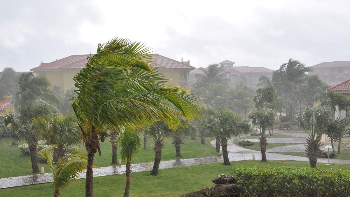 Jusqu’à 100 km/h : alerte aux vents violents en Algérie