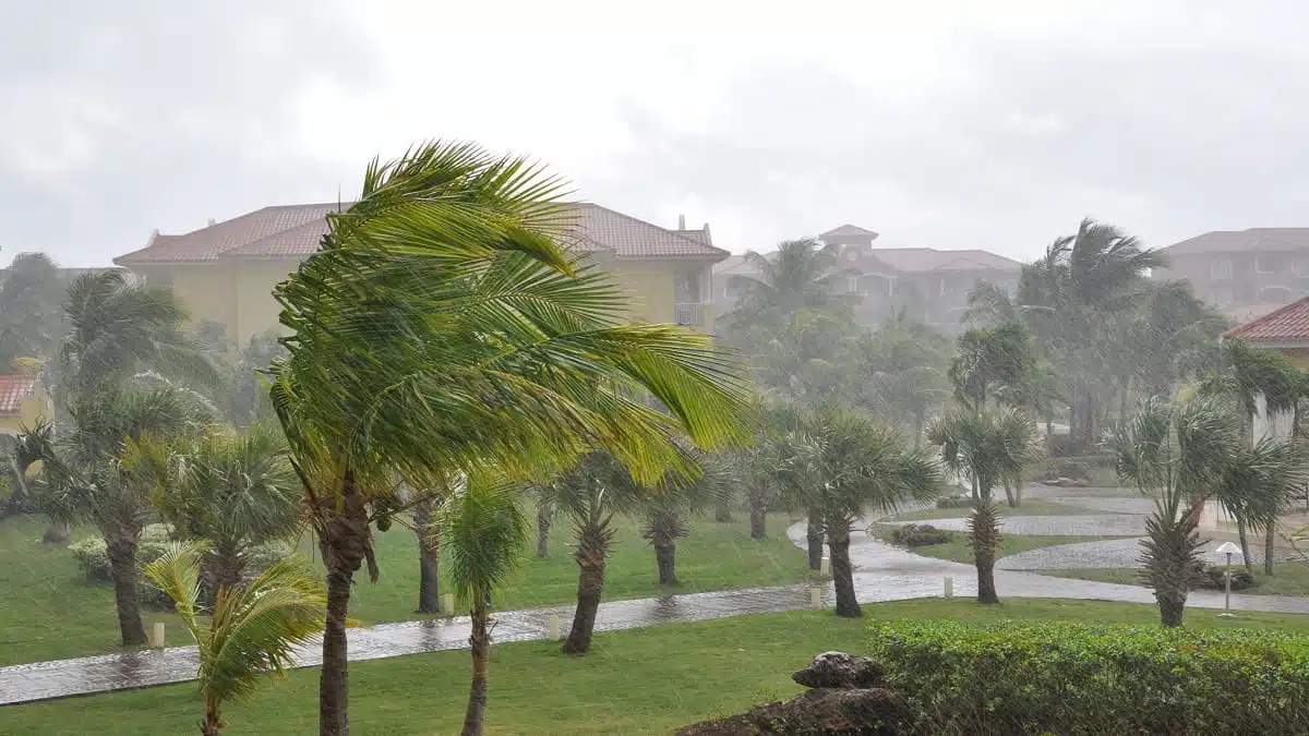 Jusqu’à 100 km/h : alerte aux vents violents en Algérie