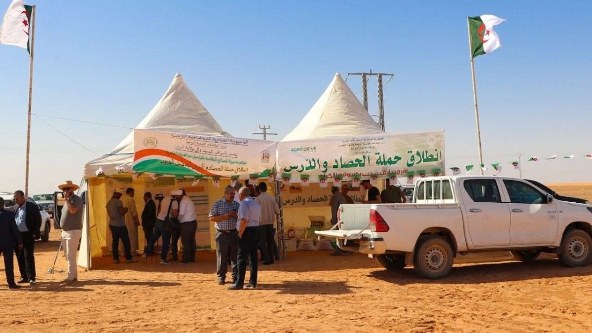 Céréales : d&rsquo;importants moyens mobilisés pour la récolte à Adrar
