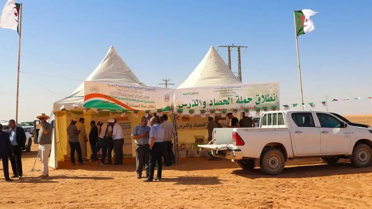 Céréales : d&rsquo;importants moyens mobilisés pour la récolte à Adrar