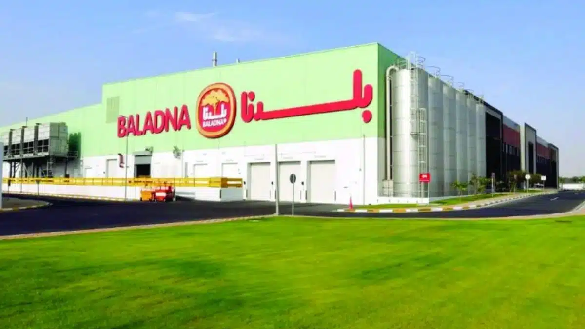 Dans le désert algérien, la méga-ferme Baladna sort de terre