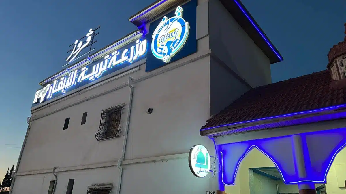 Comment Grouz est devenu un géant du lait en Algérie