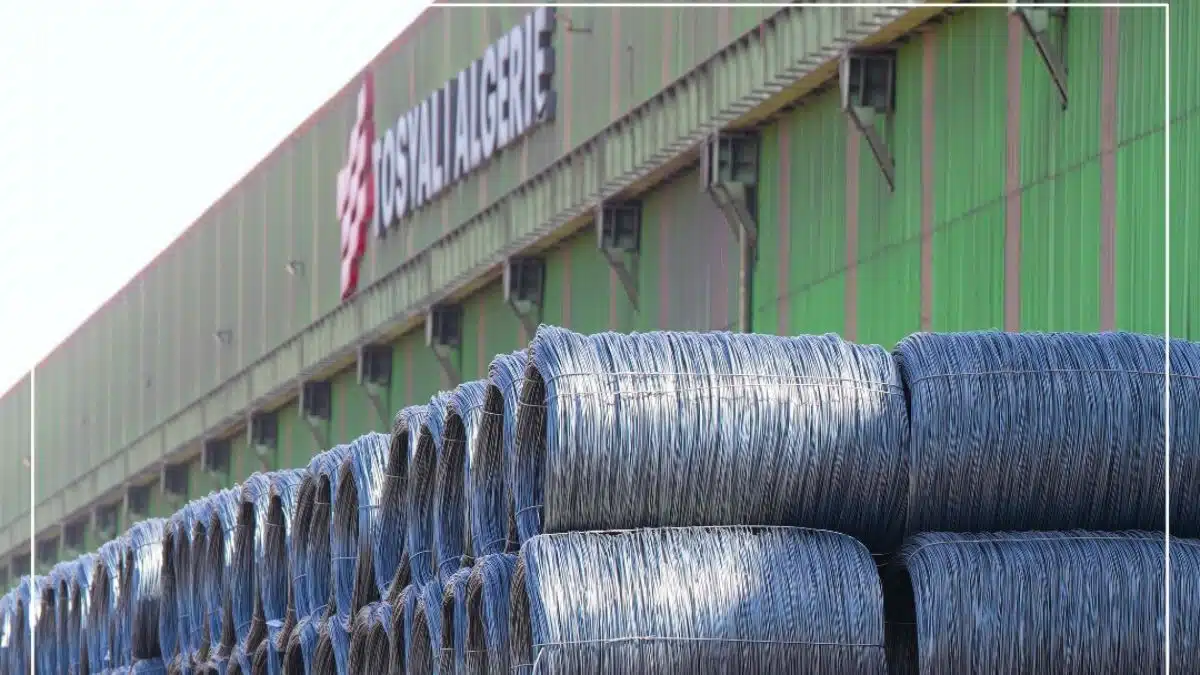 Sidérurgie : Tosyali va investir 2,5 milliards de dollars en Algérie