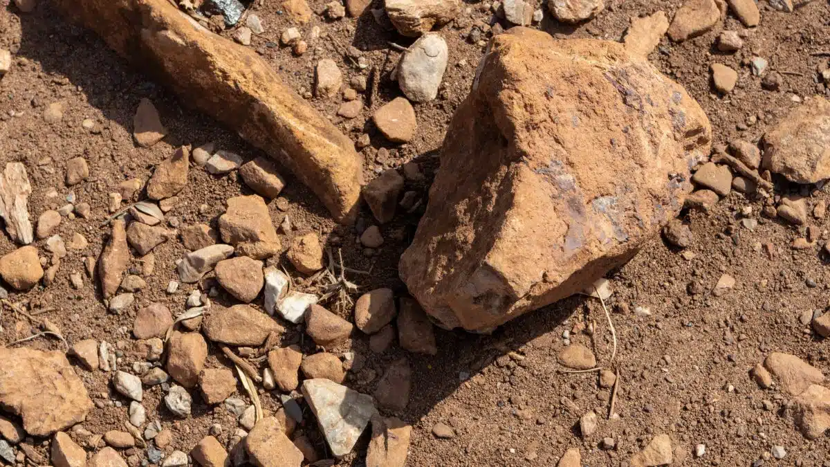 L’Algérie en passe de devenir un géant mondial du zinc et du plomb