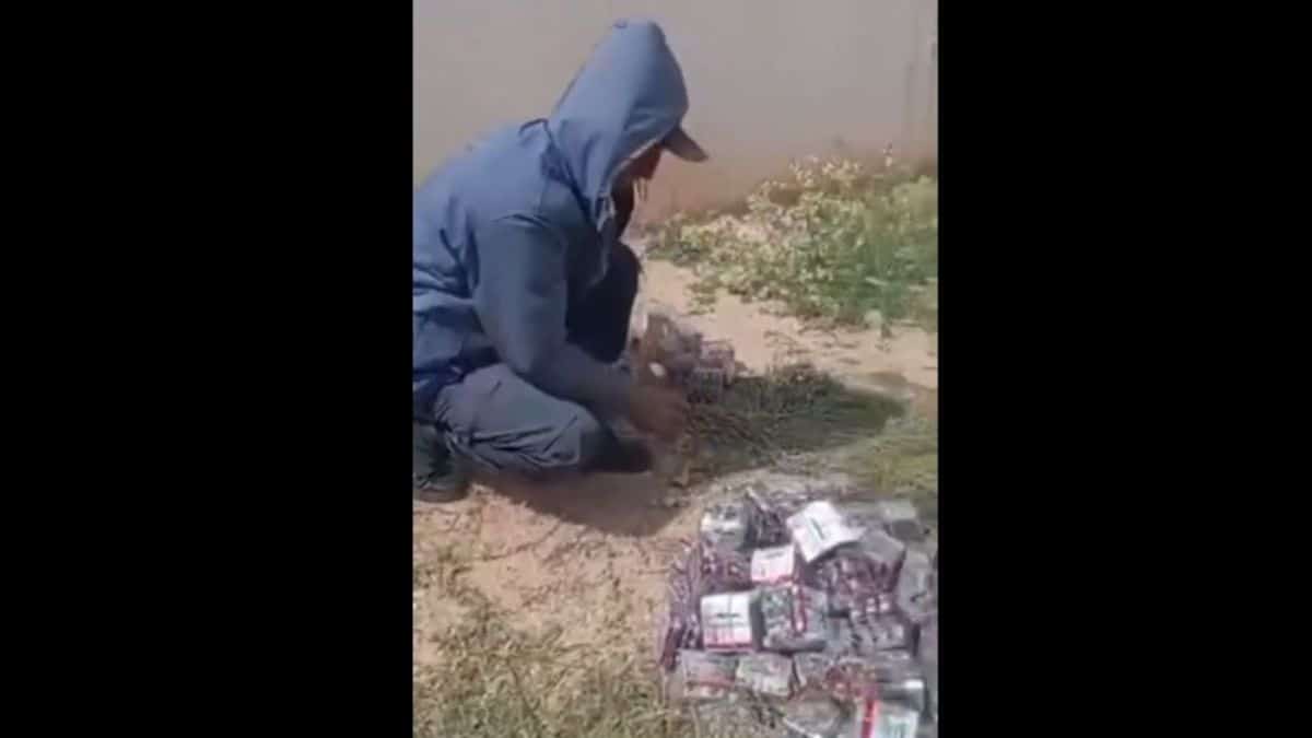 Vidéo. Algérie : 49.300 comprimés psychotropes cachés dans un camion de foin