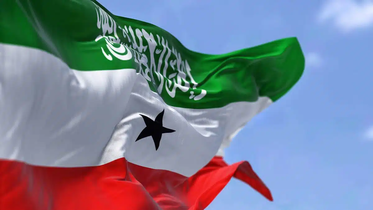 Somaliland : quatorze pays dont l&rsquo;Algérie s&rsquo;alarment d&rsquo;un « précédent dangereux » d&rsquo;Israël