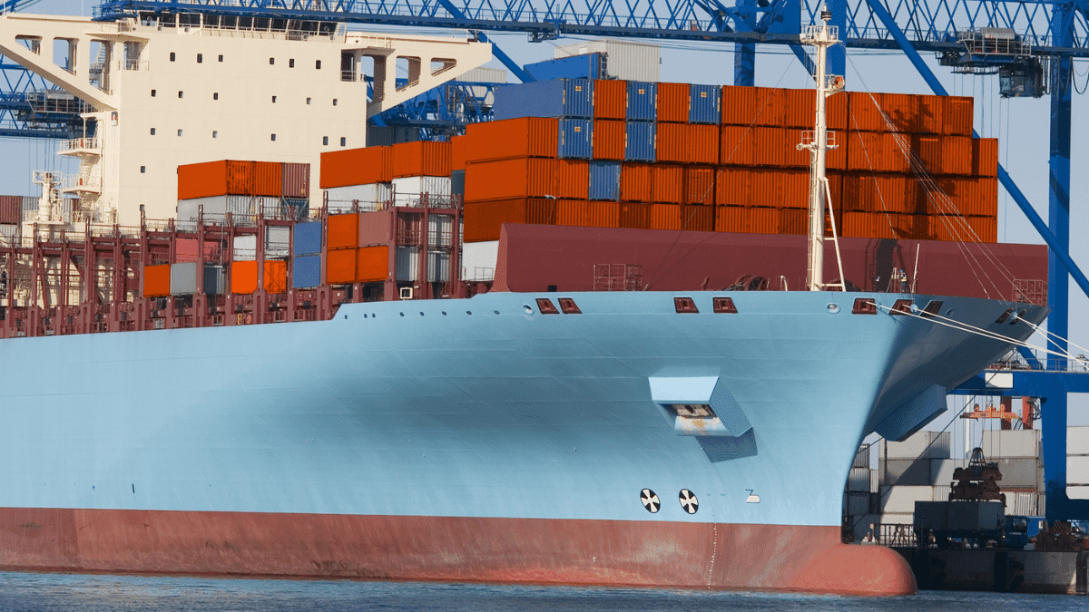 Port d’Alger : forte baisse des exportations algériennes, voici les raisons