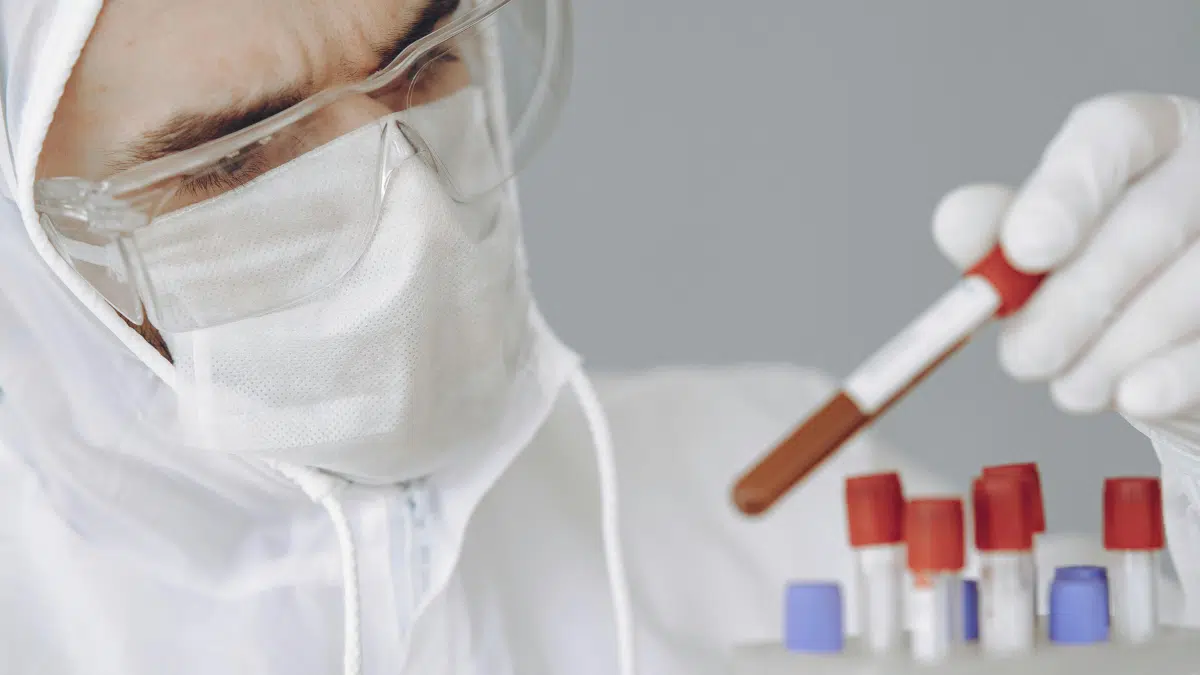 Hantavirus : ce que l’on sait sur ce virus transmis par les rongeurs