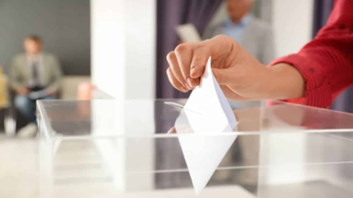 Législatives en Algérie : des candidats écartés, des partis protestent