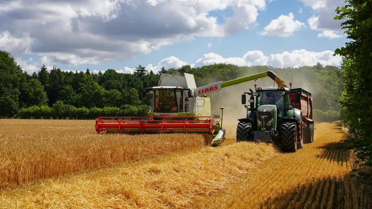 Baladna Algérie : la ferme géante effectue sa première récolte