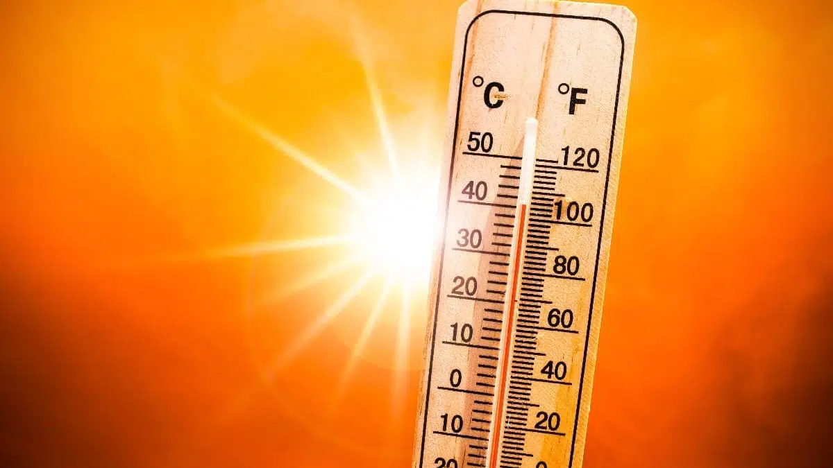 Canicule en France : des morts et des scènes de chaos