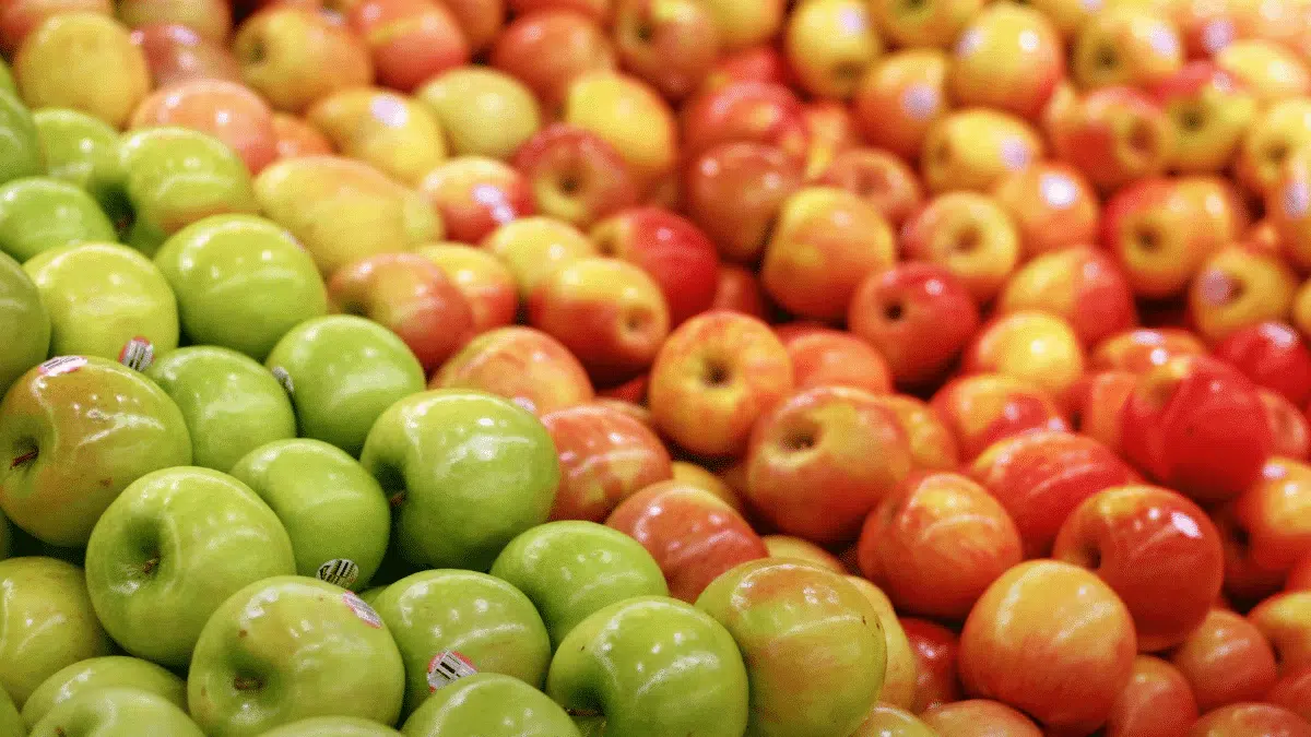 Les pommes d’Algérie confrontées au défi de la grêle