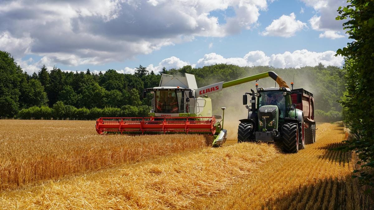 Récolte exceptionnelle de céréales : l’Algérie décrète la grande mobilisation