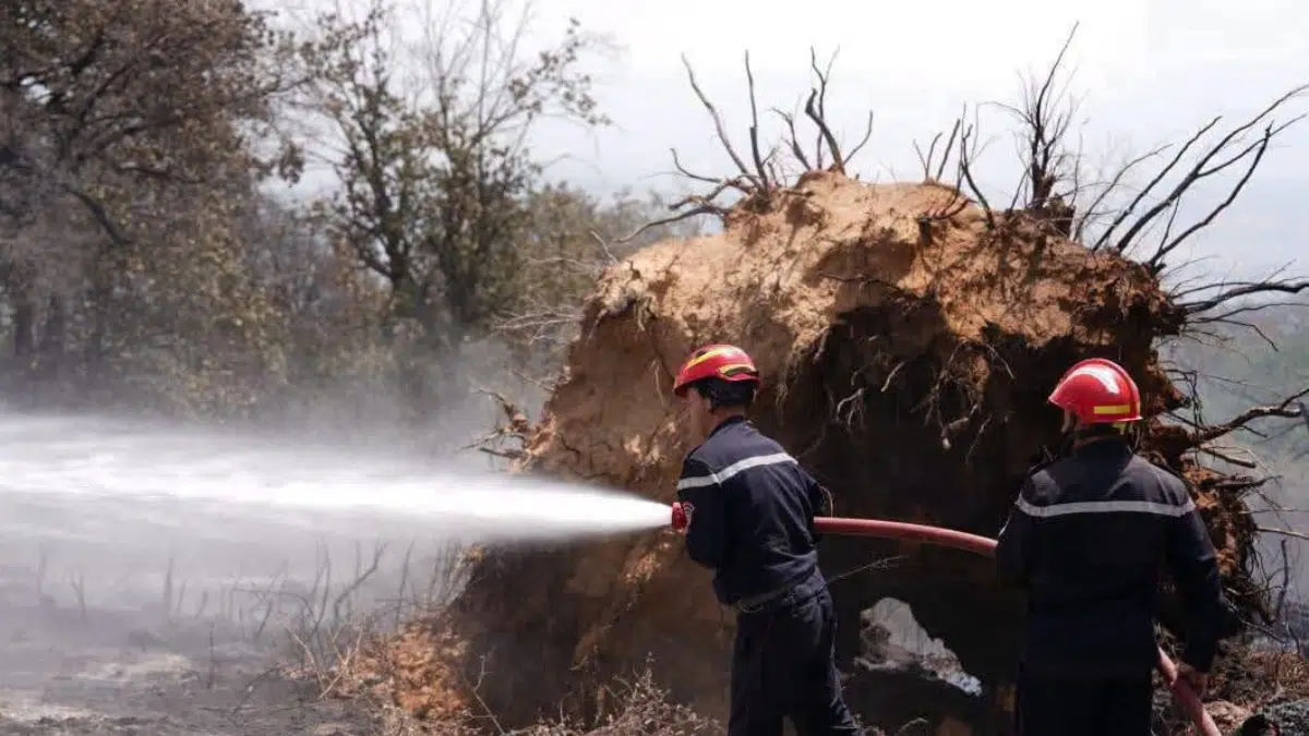 Alerte. Algérie : la Protection civile annonce la fin des incendies