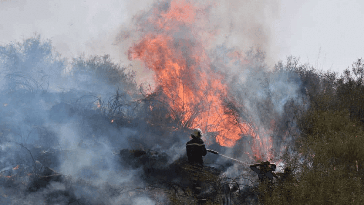 Incendies en Algérie : des pompiers qui défient les flammes