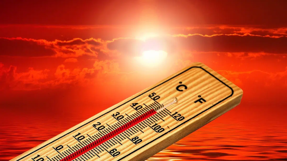 La canicule se prolonge en Algérie : près de 50 °C, les régions concernées