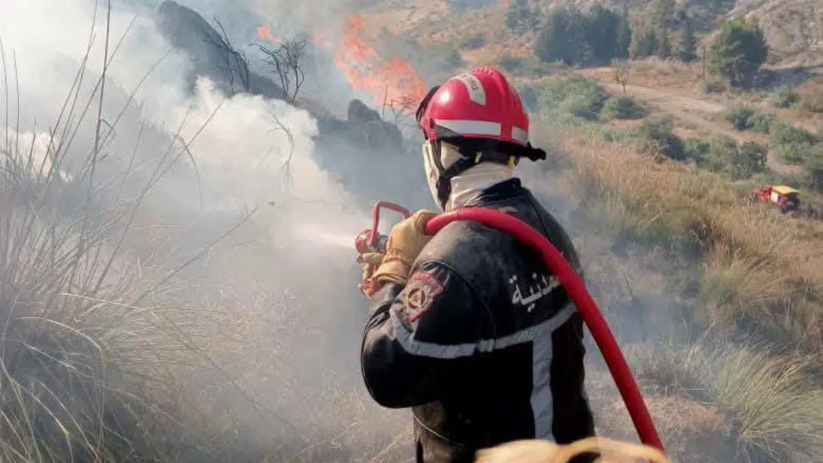 Incendies : l’Algérie en passe de remporter la bataille contre les flammes
