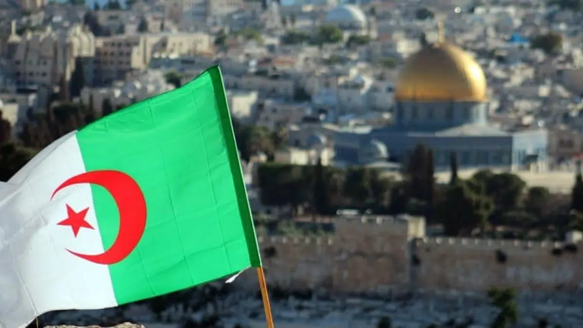 L’Algérie condamne les attaques répétées des colons israéliens contre les Palestiniens