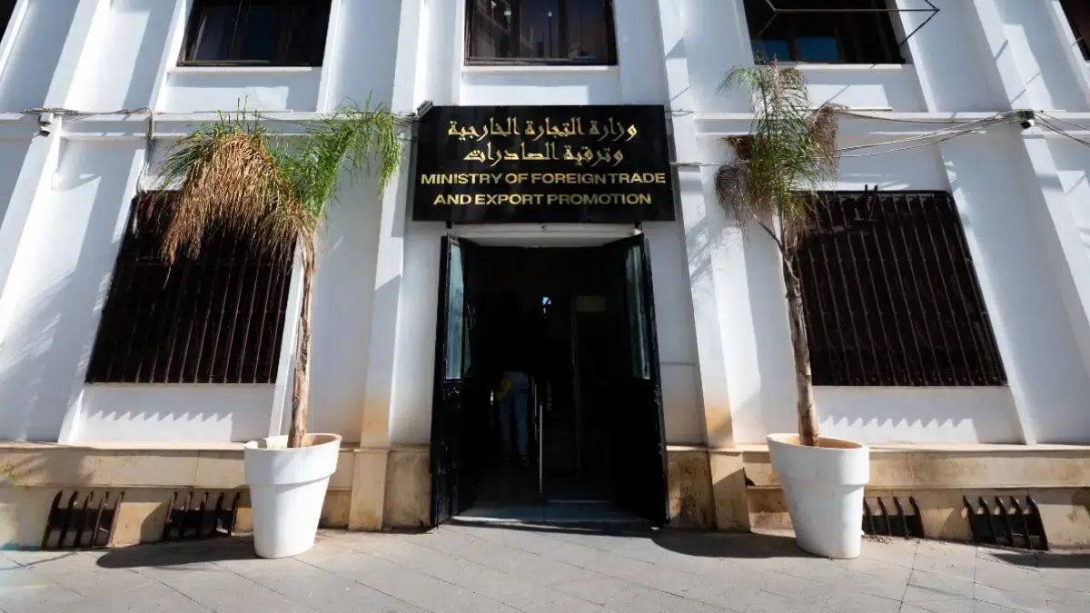 Importations de services : l’Algérie passe au 100% numérique dès le 1er août