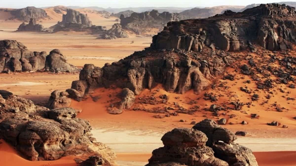 L’Algérie annonce la création d’un muséum national d&rsquo;histoire naturelle