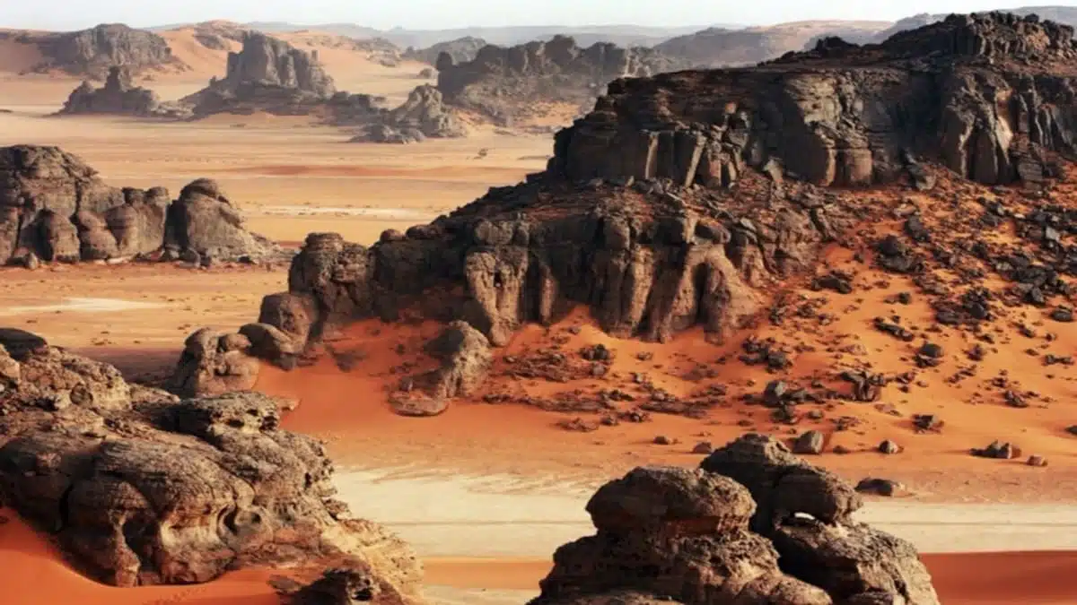 L’Algérie annonce la création d’un muséum national d&rsquo;histoire naturelle