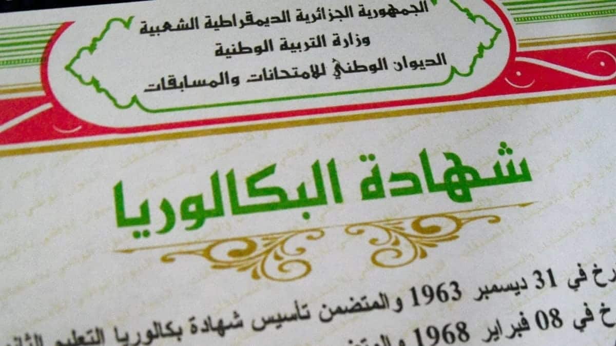 BAC 2026 en Algérie : taux de réussite, 3 filles sur le podium, Tizi-Ouzou indétrônable