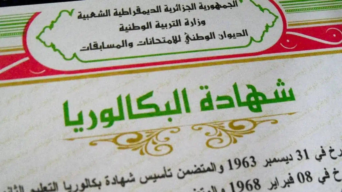 BAC 2026 en Algérie : taux de réussite, 3 filles sur le podium, Tizi-Ouzou indétrônable