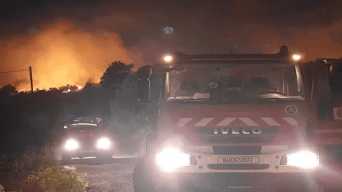 Incendies et canicule en Algérie : la Protection civile rappelle ses troupes