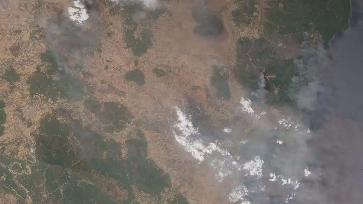 Feux de forêt en Algérie : ce que montrent les images satellites