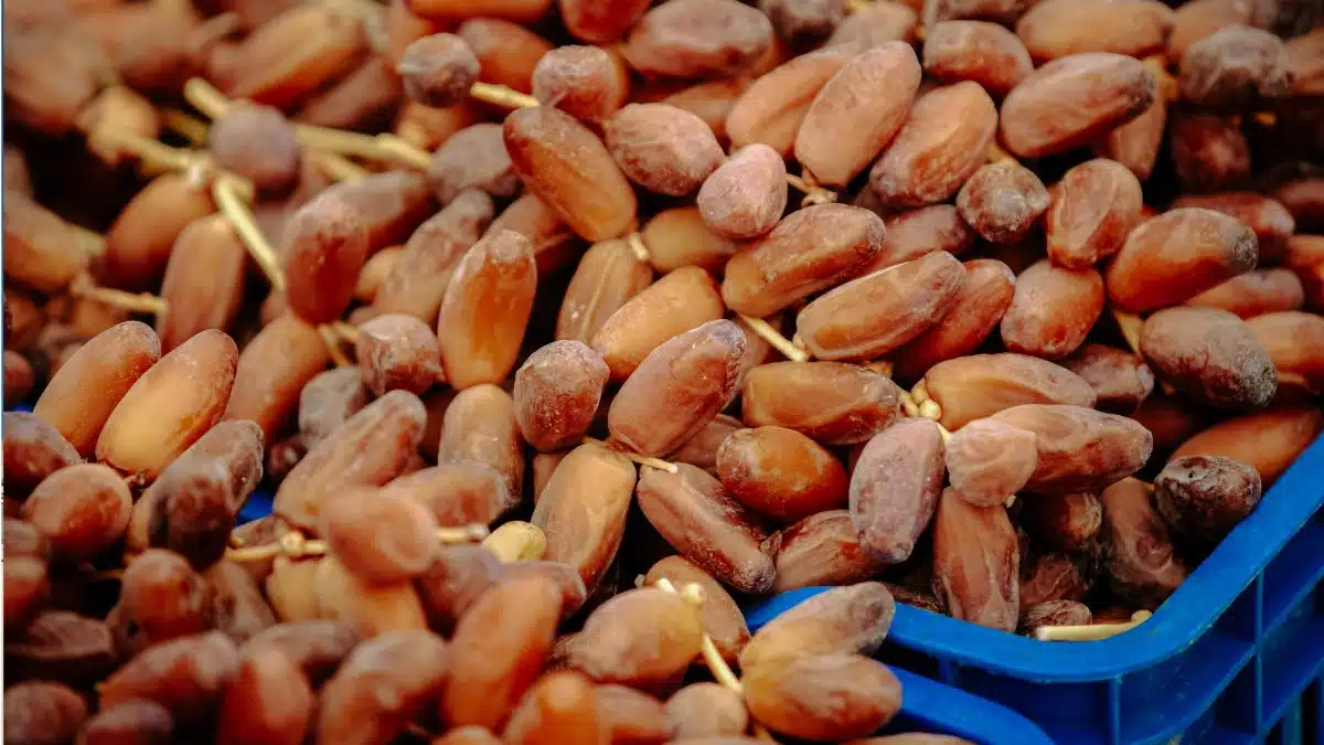 Exportation de dattes : l’Algérie fixe les prix