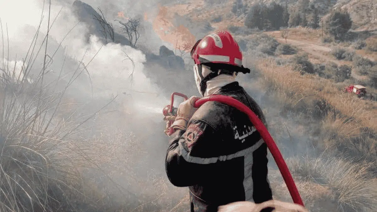 En images : les pompiers mobilisés contre les feux de forêt en Algérie