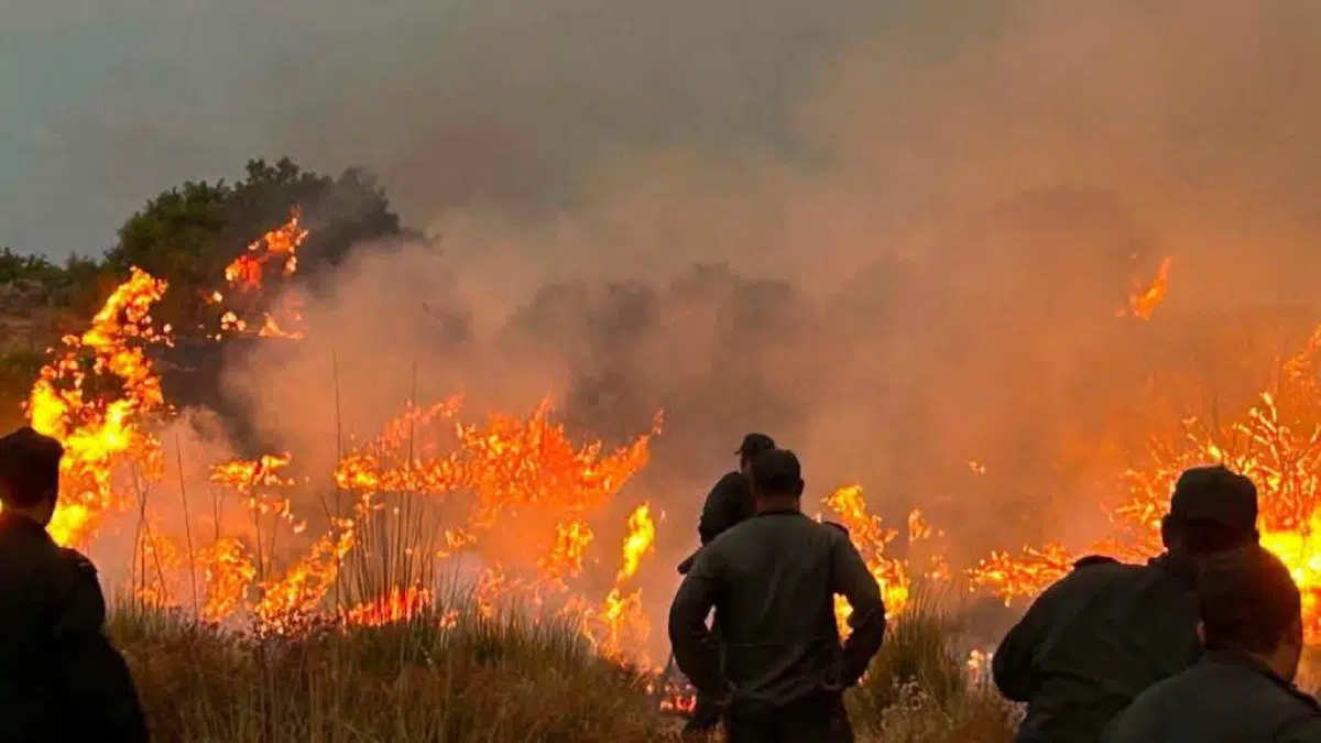 1.550 incendies en 12 jours, l’Algérie livre une rude bataille contre les flammes
