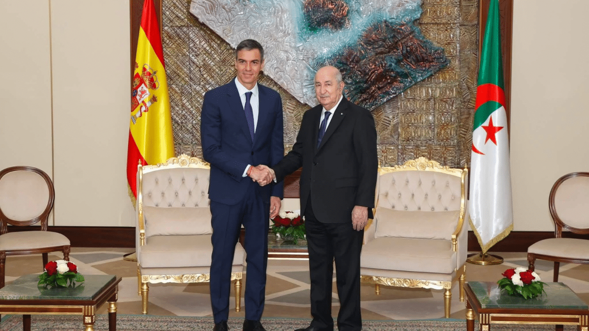 Le sommet Tebboune – Pedro Sanchez en images