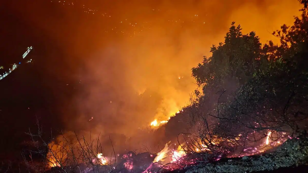 L’Algérie face à une nouvelle vague d’incendies : 74 feux de forêt en 24 h