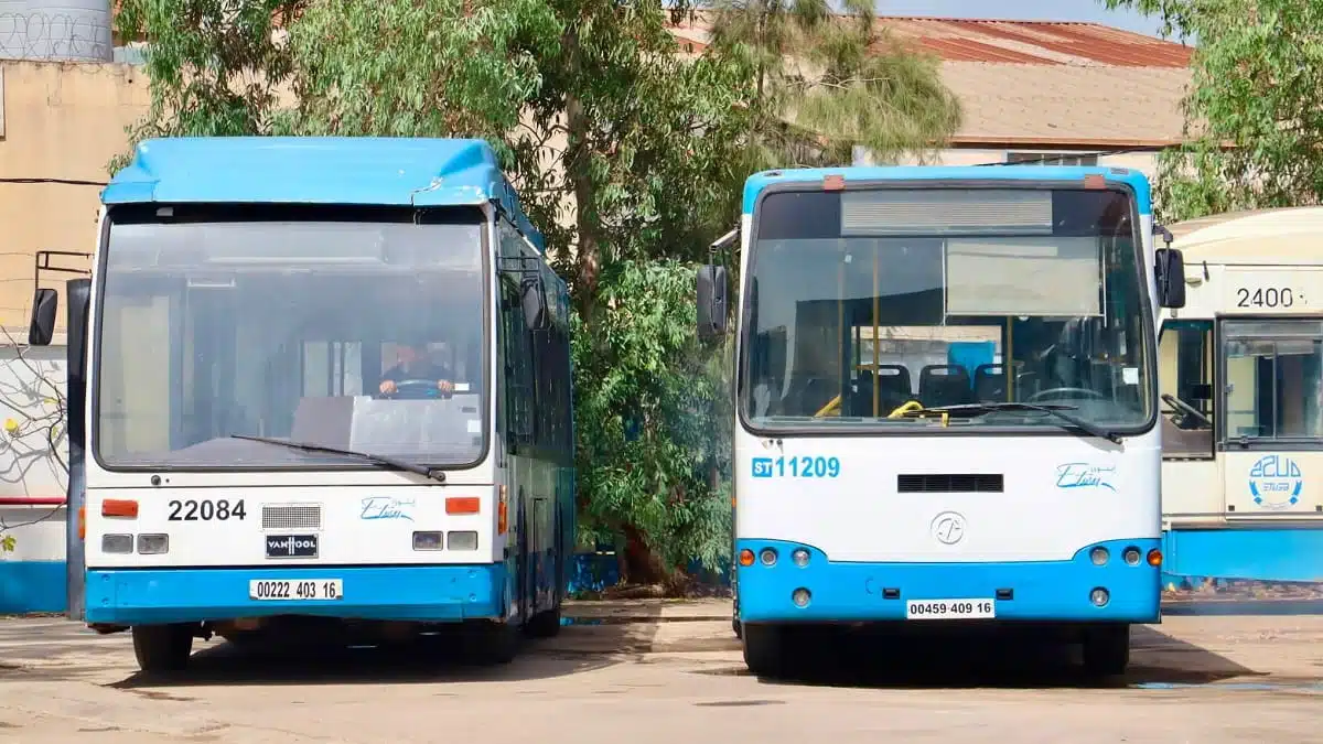 Deux bus mythiques d’Alger reprennent vie au musée de l’ETUSA