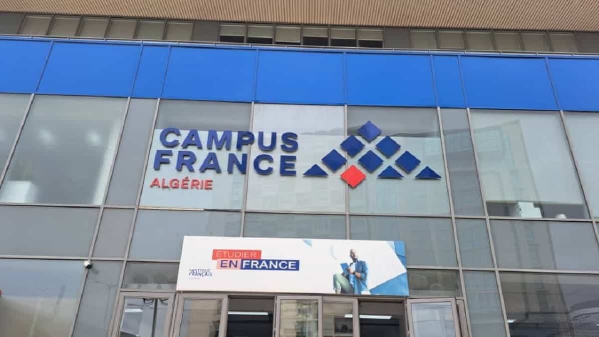 Études en France : le pari de l&rsquo;anglais pour séduire les étudiants algériens
