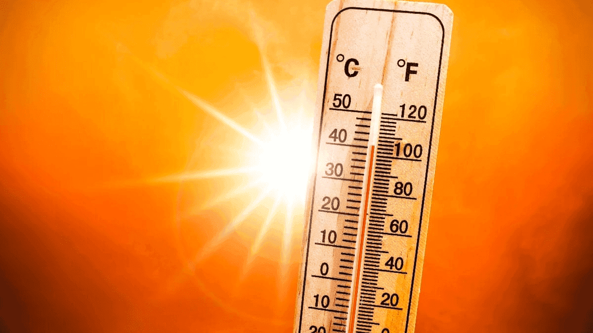 Canicules, incendies, migrations : comment le changement climatique frappe la Méditerranée et l’Algérie