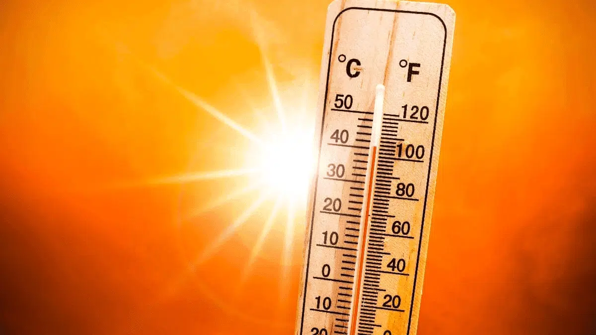 Canicules, incendies, migrations : comment le changement climatique frappe la Méditerranée et l&rsquo;Algérie