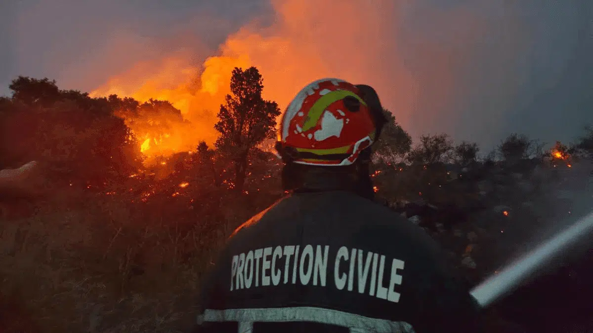 Incendies en Algérie : des décès et des images apocalyptiques